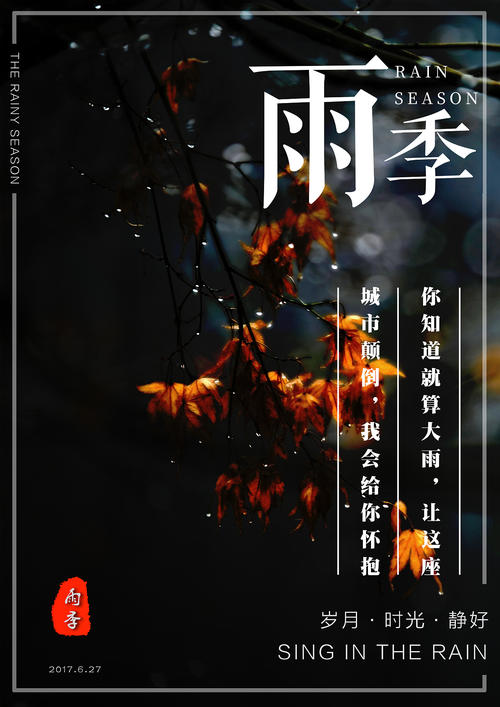 做个假不丹护照